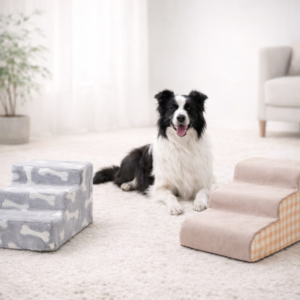 Escaliers & Accès Confort