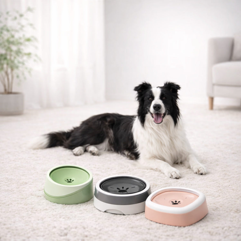 Bols Anti-débordement