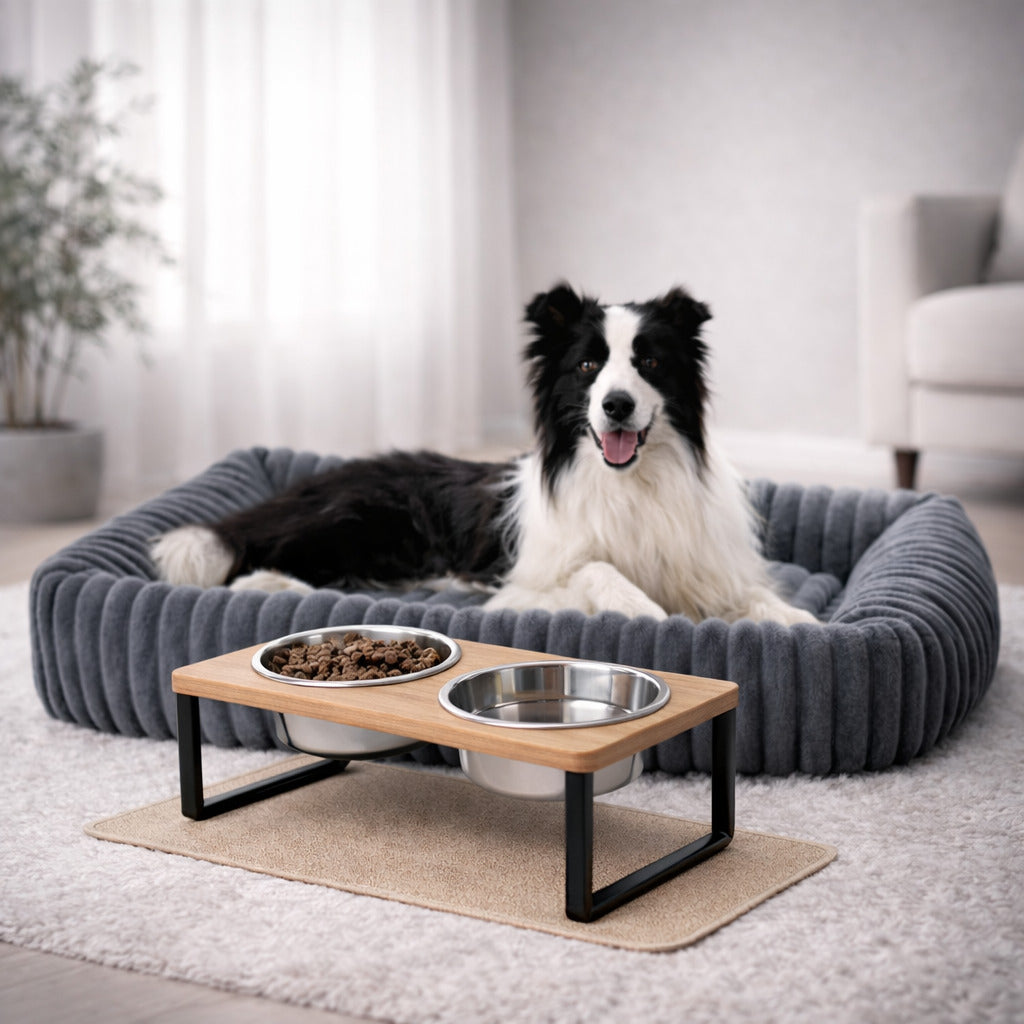 Pack Confort Pour Chien Senior