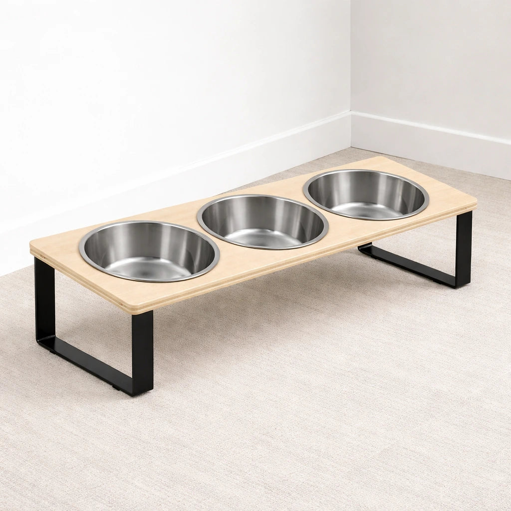 Gamelle Réglable Inclinée – Confort Digestif et Anti-Vomissement