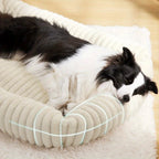 Lit Orthopédique Pour Chien En Peluche