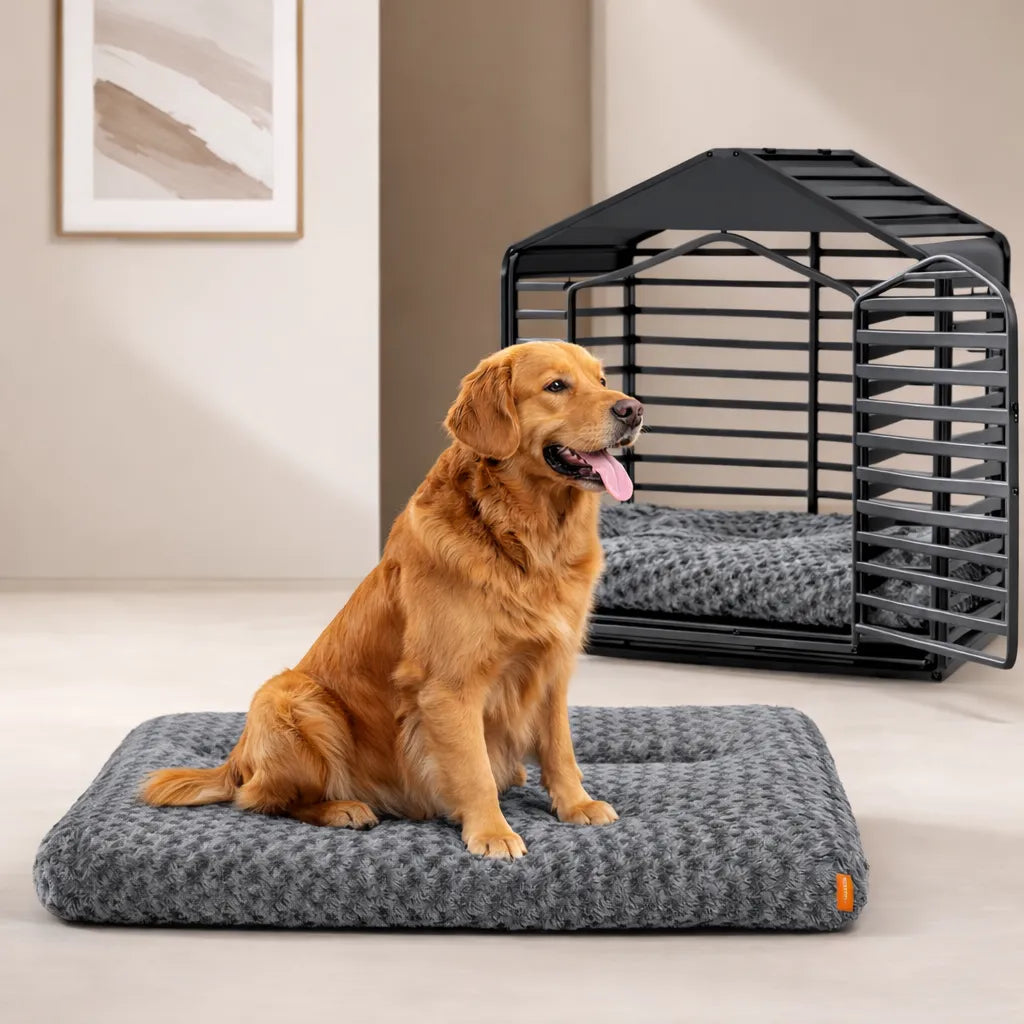 Grand Matelas À Mémoire De Forme