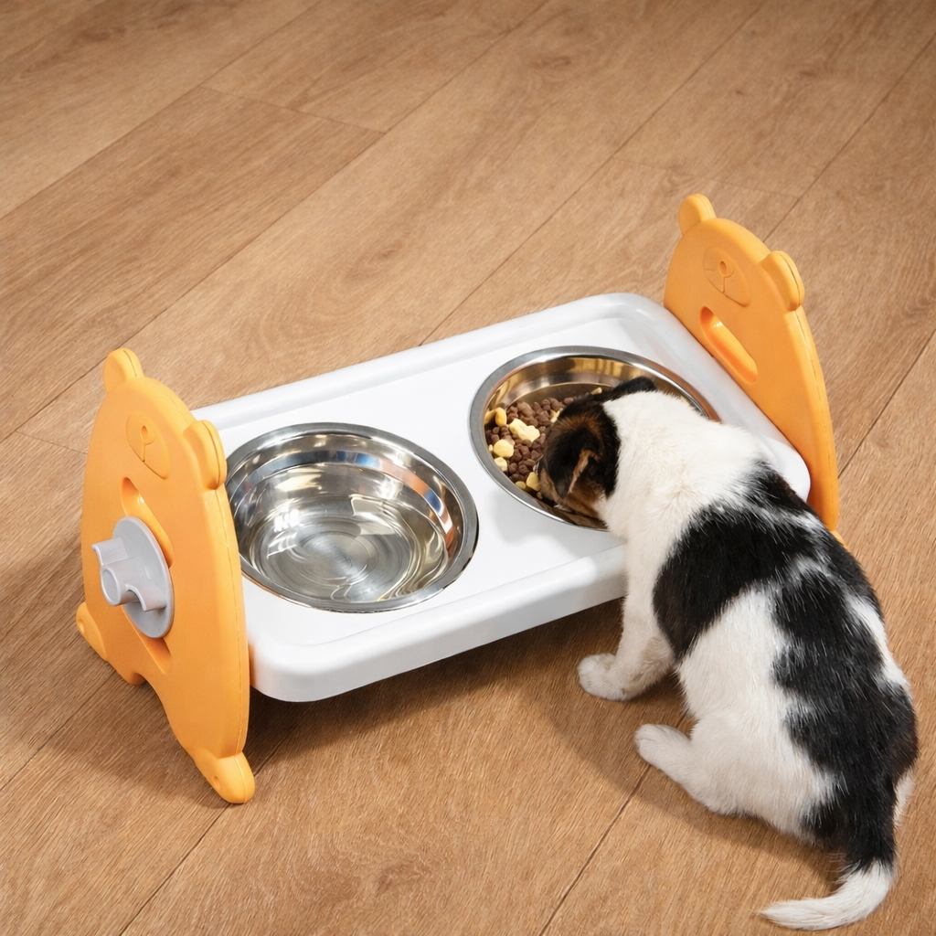 Gamelle Surélevée Pour Petit Chien