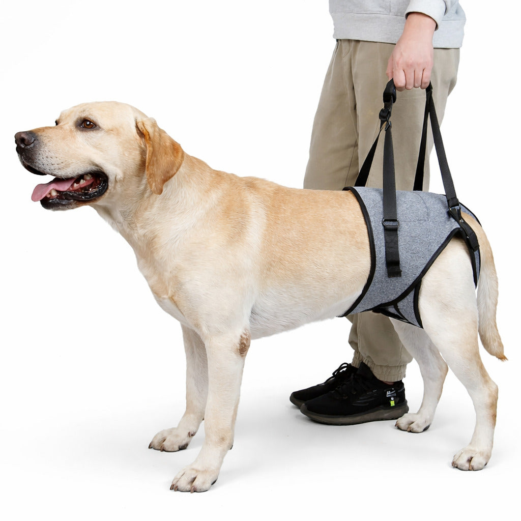 Harnais De Soutien A La Marche Pour Chien