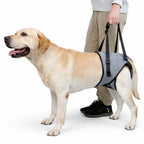 Harnais De Soutien A La Marche Pour Chien