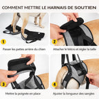 Harnais De Soutien A La Marche Pour Chien
