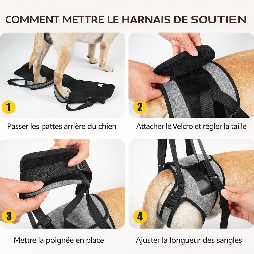 Harnais De Soutien A La Marche Pour Chien
