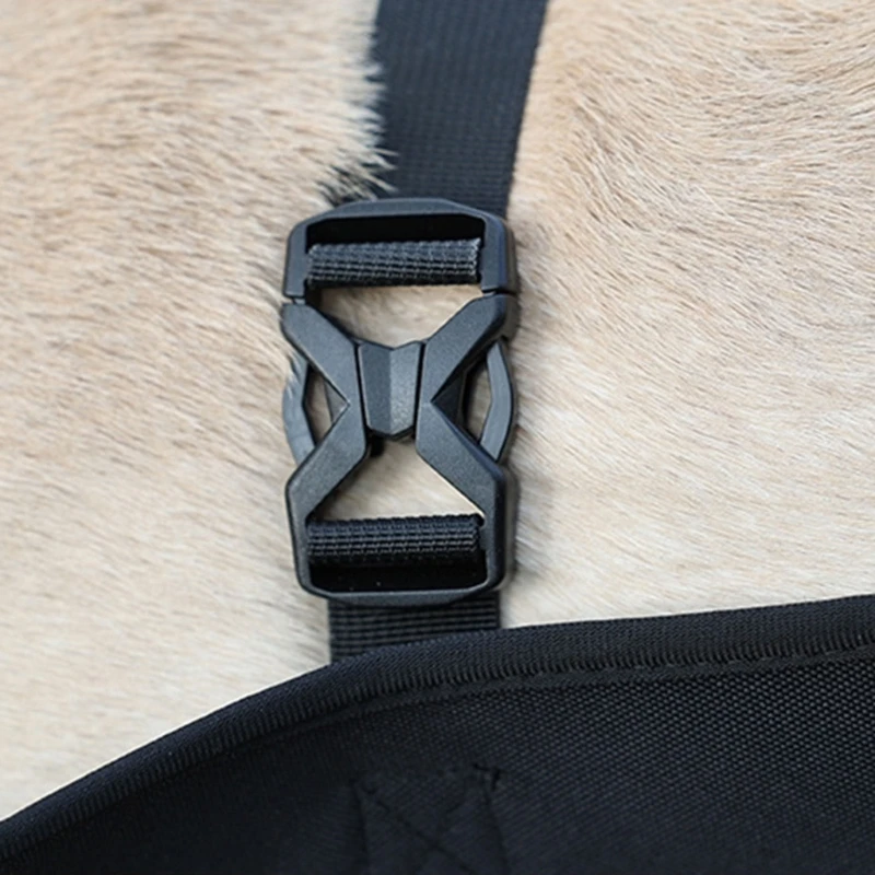 Harnais De Soutien Du Corps Pour Chien