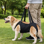 Harnais De Soutien Du Corps Pour Chien