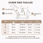 Harnais De Soutien Du Corps Pour Chien