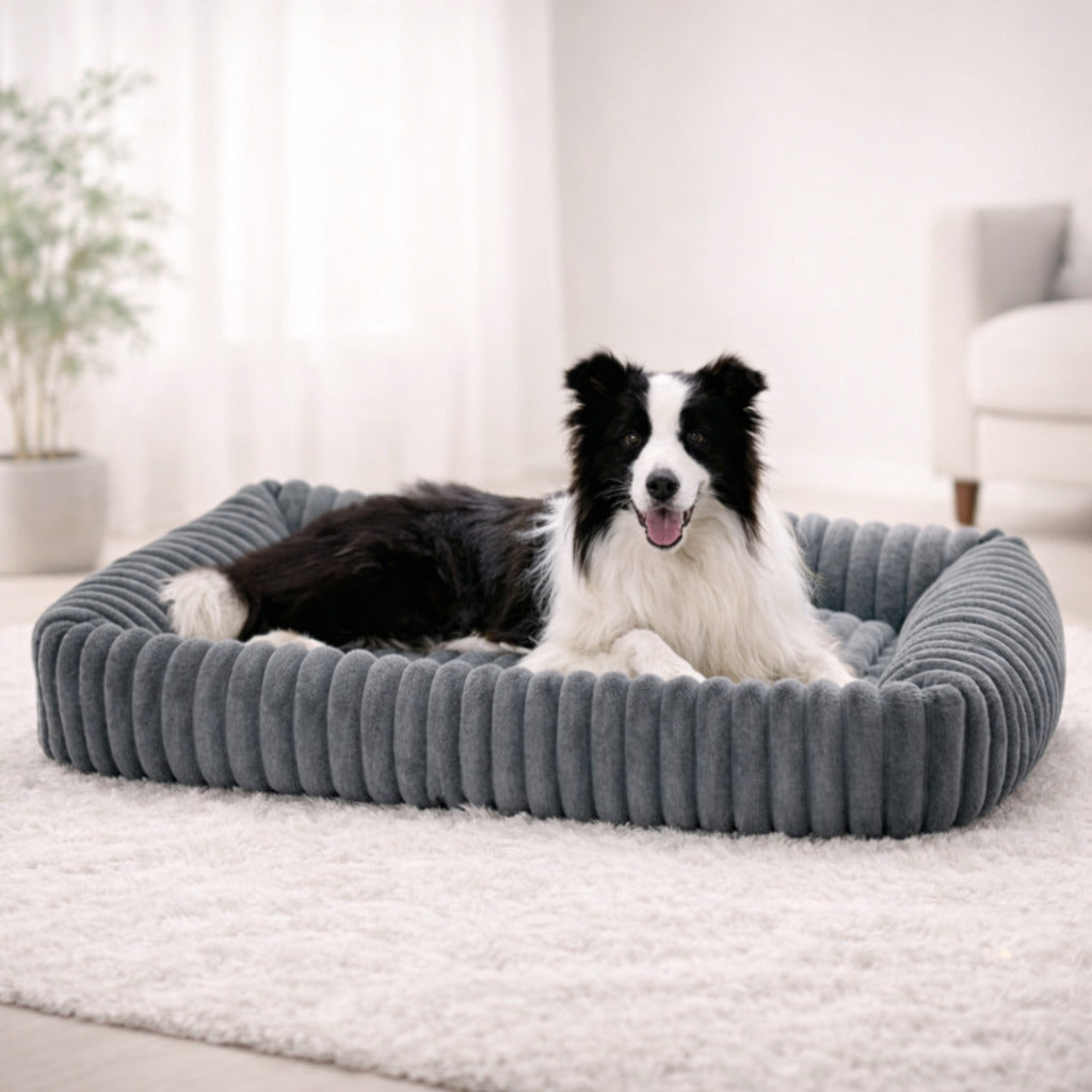 Lit Orthopédique Pour Chien En Peluche
